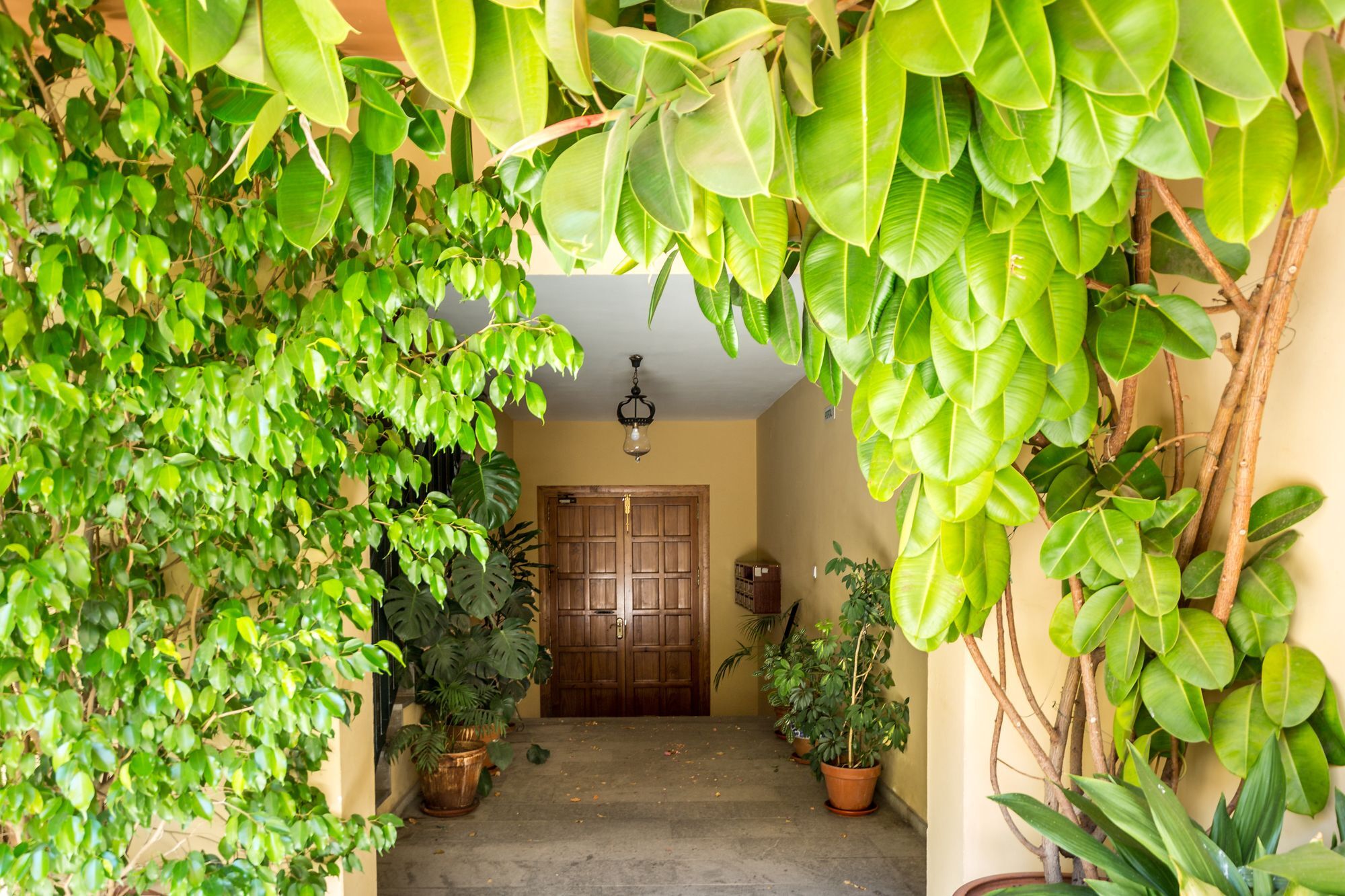Apartamento Amparo Cinco Córdoba Exterior foto